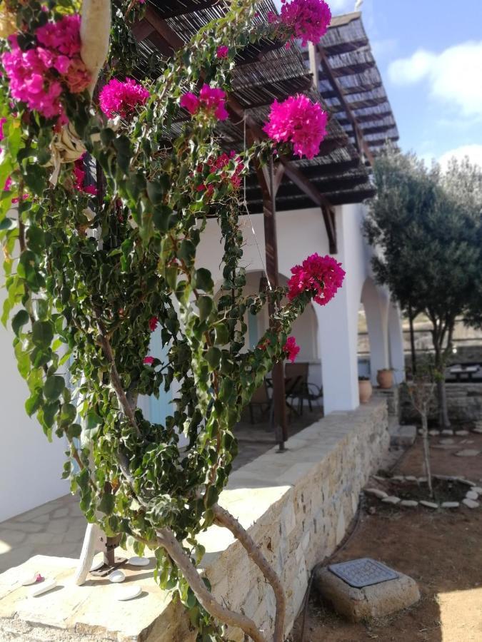 Gio St Gio Apartment 1 Antiparos St.Giorgio Dış mekan fotoğraf